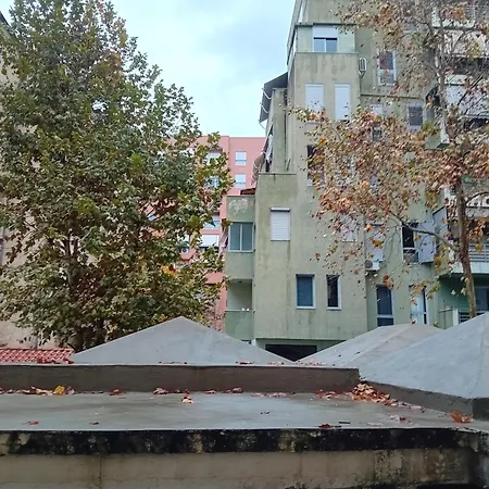 Serendipity * Тирана