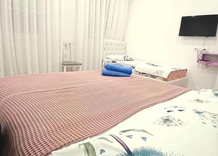 Serendipity * Tirana